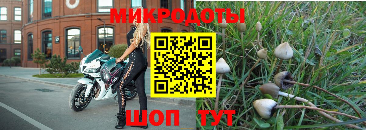 Псилоцибиновые грибы мухоморы  Псилоцибиновые грибы Psilocybine cubensis  даркнет сайт  Вход с VPN  Наро-Фоминск 
